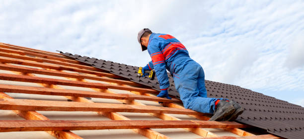Best Roof Ventilation Installation  in New Lenox, IL